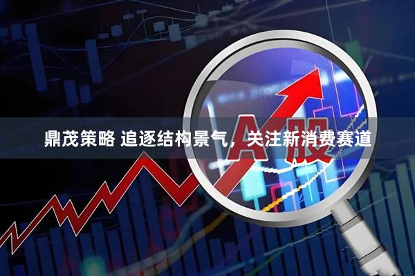 鼎茂策略 追逐结构景气，关注新消费赛道