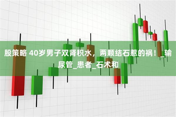股策略 40岁男子双肾积水，两颗结石惹的祸！_输尿管_患者_石术和